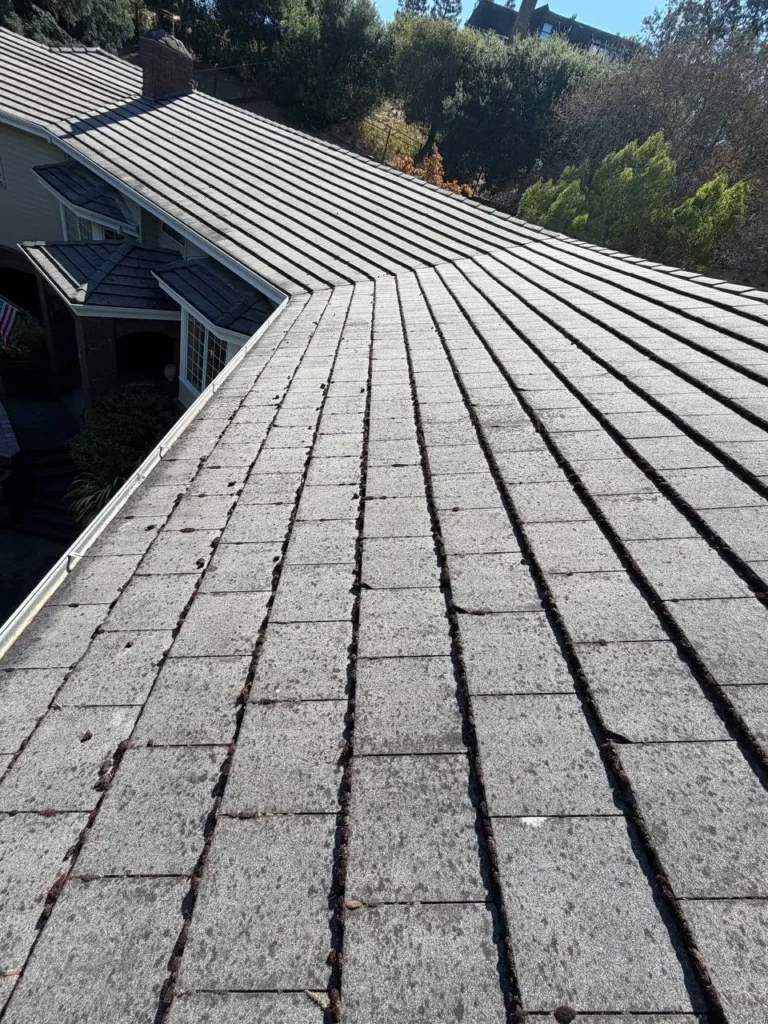 commercial-window-cleaning-lafayette-ca-bright-edge-pro (6)