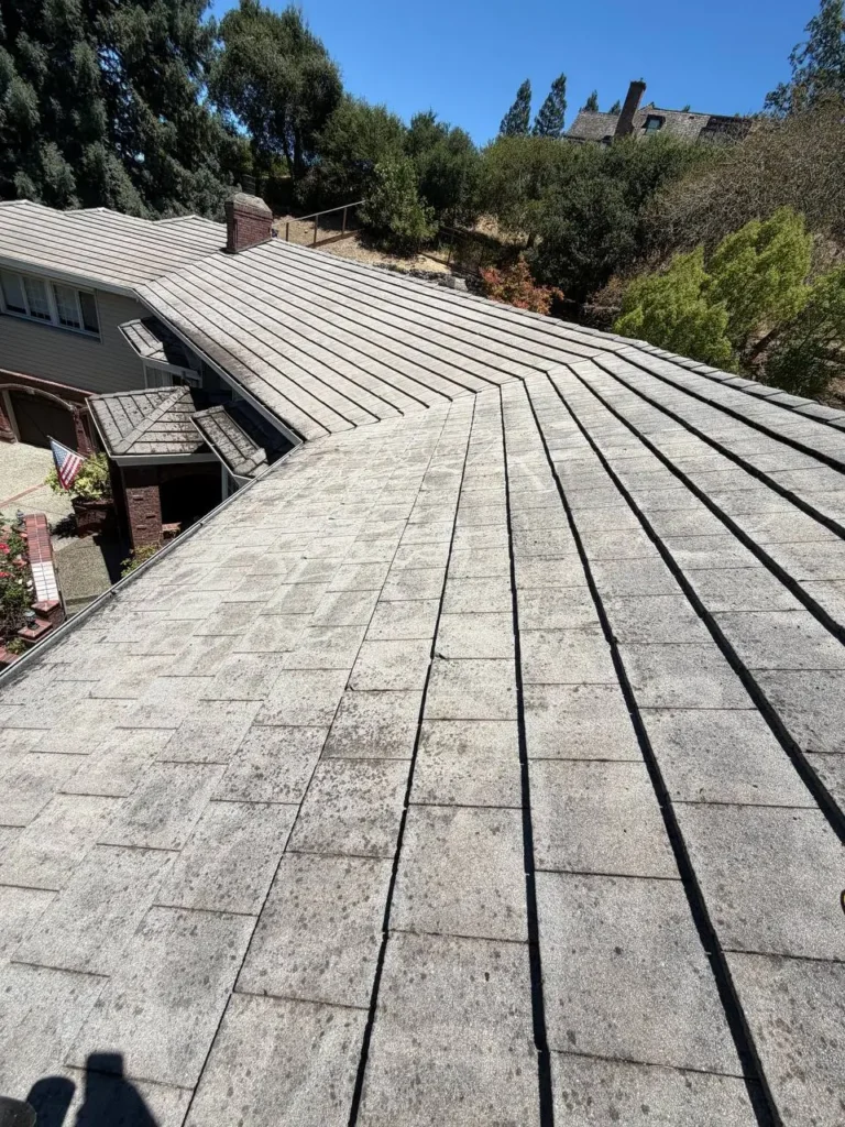 commercial-window-cleaning-lafayette-ca-bright-edge-pro (7)